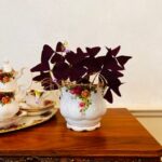 Royal Albert Old Country Roses Porcelain Flower Pot – English Bone China Planter - Image 6