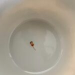 Herend Porcelain Planter – Handpainted Chinese Bouquet Pot, Collectible Floral Cachepot - Image 5