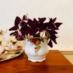 Royal Albert Old Country Roses Porcelain Flower Pot – English Bone China Planter - Image 4