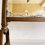 Victorian Brass Fireplace Screen with Beveled Mirror and Hand Painted Floral Motif - Image 7