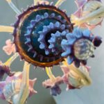 Pink Murano Glass Chandelier – Italian Art Glass Pendant Light, Handcrafted - Image 8