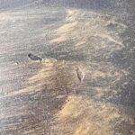 Mid Century Bar Cart – Wooden Serving Trolley on Wheels, Side Table Storage - Image 9